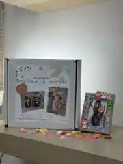 ערכת יצירה מסגרת שי מעוצבת – מיכל כרמי